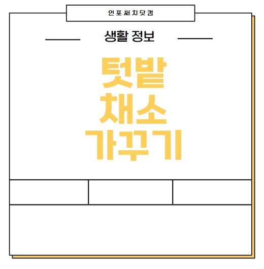 텃밭 채소 가꾸기 할때 고려해야 할 점들