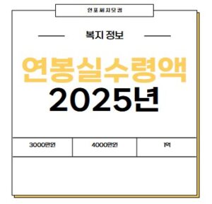 2025년 연봉실수령액 |2700만원 | 3000 | 3600 | 4000 | 5500 | 8000 | 1억원 |월급 실수령액 표