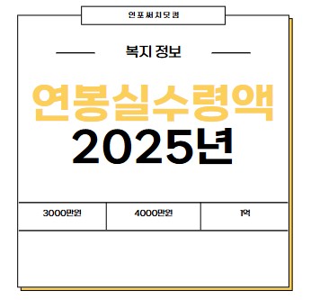 2025년 연봉실수령액 |2700만원 | 3000 | 3600 | 4000 | 5500 | 8000 | 1억원 |월급 실수령액 표